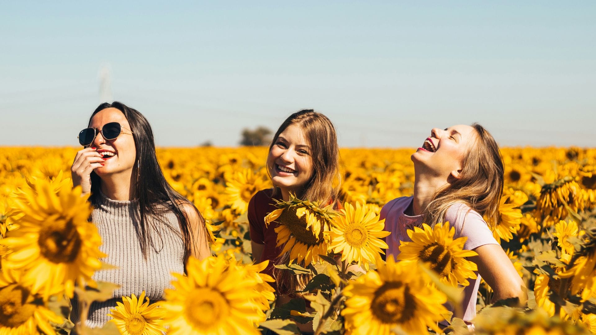 drei Frauen stehen in einem Feld voller Sonnenblumen